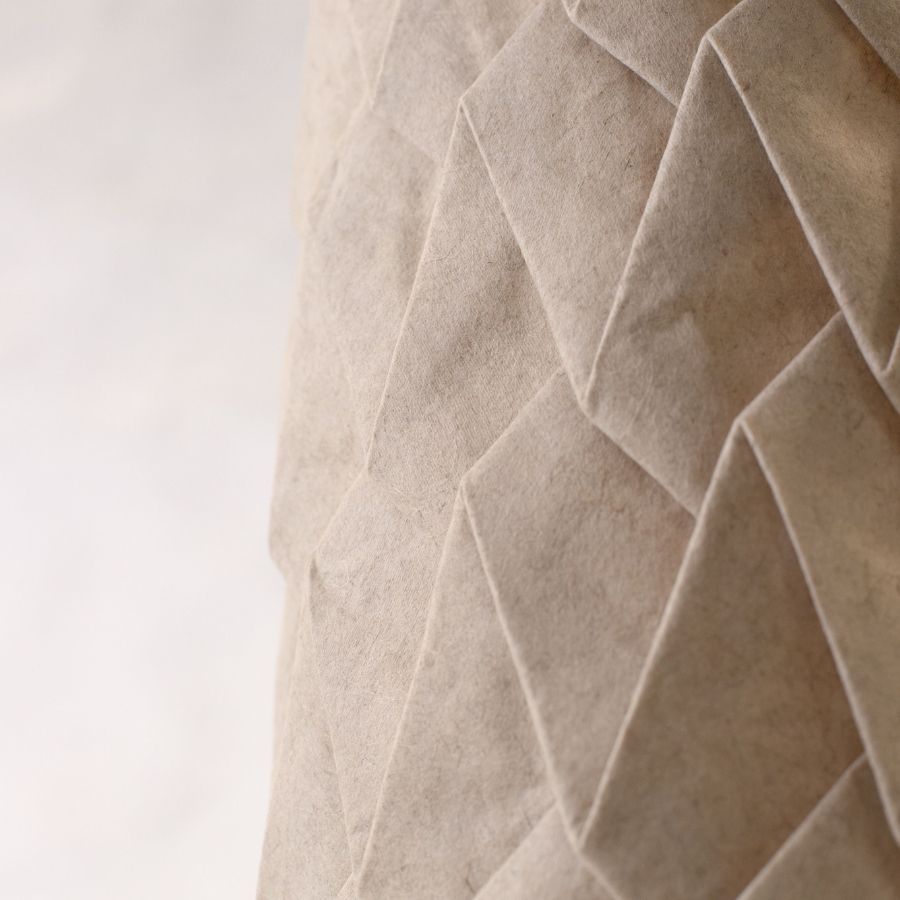 La Lampe à poser - Écailles