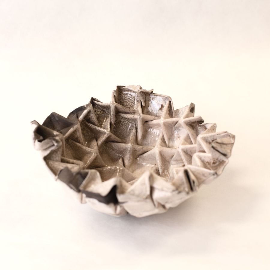 Fossile #1