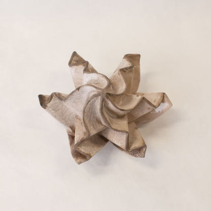 Fossile #6