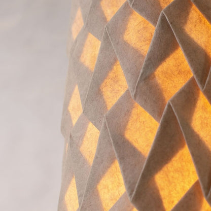 La Lampe à poser - Écailles