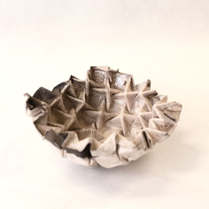 Fossile #1