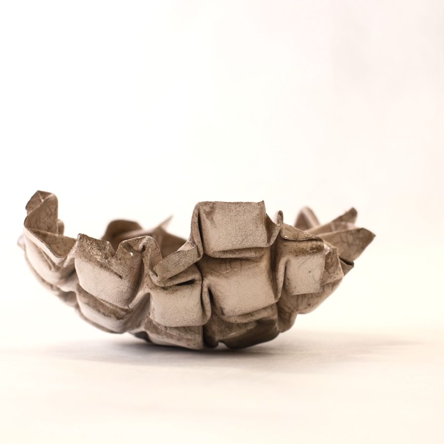 Fossile #5